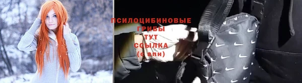 твердый Алексин