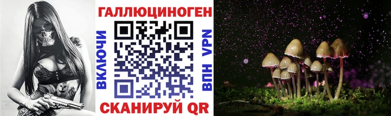 Галлюциногенные грибы Psilocybine cubensis  Цимлянск 
